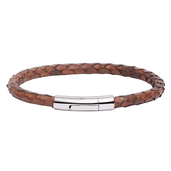 The Dark Python Coil