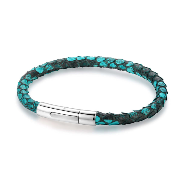 The Turquoise Python Coil