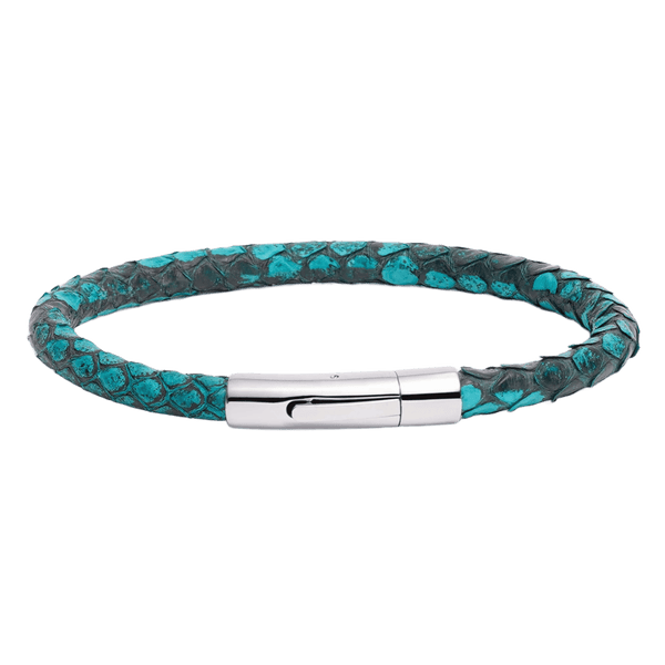 The Turquoise Python Coil