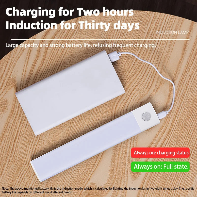Smart Motion Sensor Light